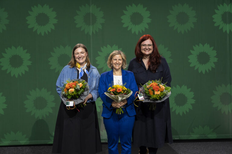 Wahlparteitag