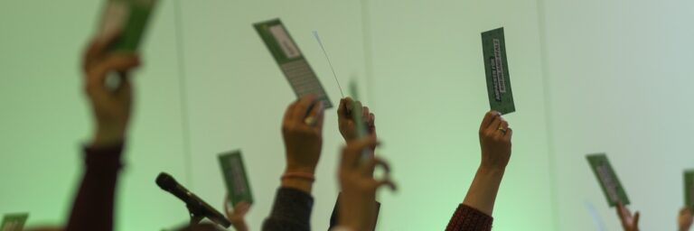 GRÜNE beschließen einstimmig ihr Wahlprogramm für die Landtagswahl 2026