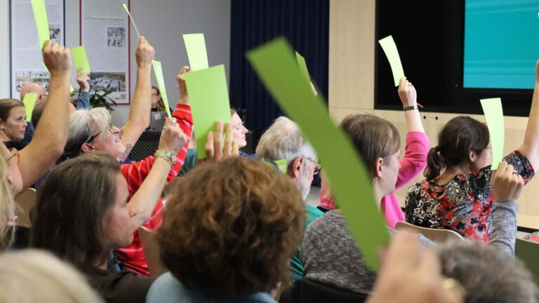 GRÜNE starten Prozess zur Überprüfung und Weiterentwicklung ihrer Satzung, Ordnungen und Statute in RLP
